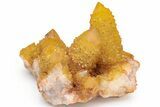 Sunshine Cactus Quartz Crystal Cluster - South Africa #217976-1